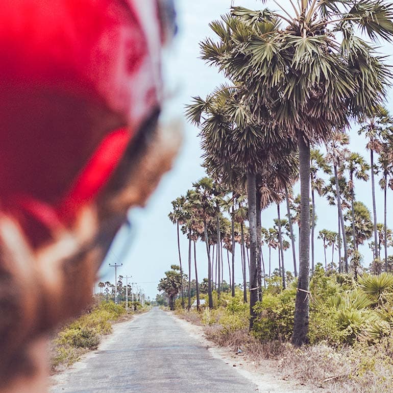 Nallur Kandaswamy Temple in Jaffna